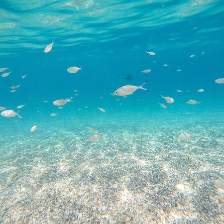 Complejo Turistico Los Bayiyos Agua Amarga  Εξωτερικό φωτογραφία
